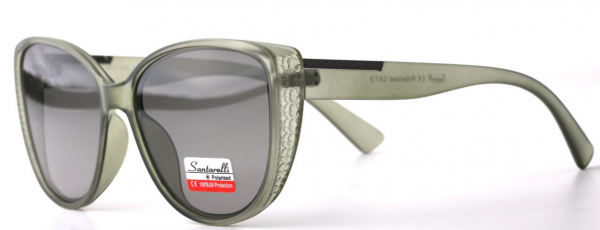 Очки Santarelli ST2502 C4