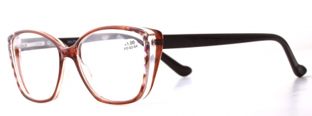 Очки готовые Ralph RA 0751 C2