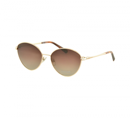 Очки Megapolis 091 BROWN